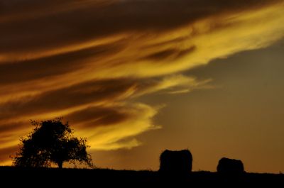 paysage537.jpg