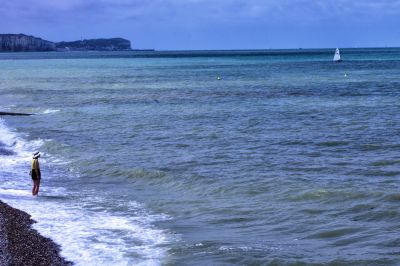 paysage539.jpg