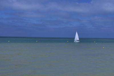 paysage542.jpg