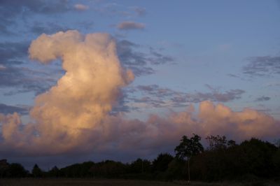 paysage544.jpg