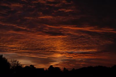 paysage546.jpg