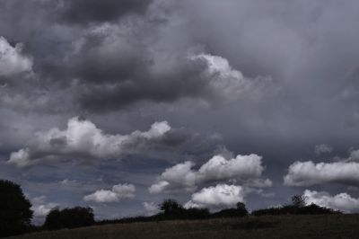 paysage547.jpg