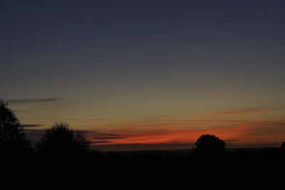 paysage548.jpg