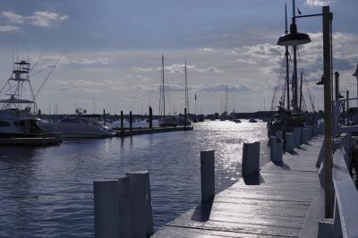 paysage549.jpg