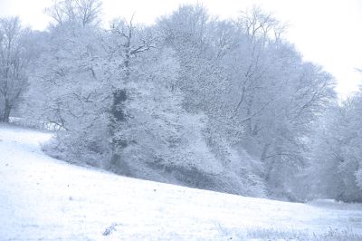 paysage916.jpg