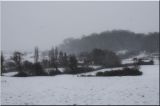 paysage230.jpg