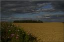 paysage24.jpg