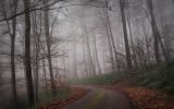 paysage264.jpg