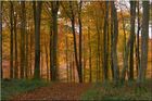 paysage28.jpg