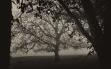 paysage400.jpg