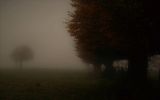 paysage401.jpg