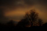 paysage402.jpg