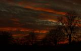 paysage406.jpg